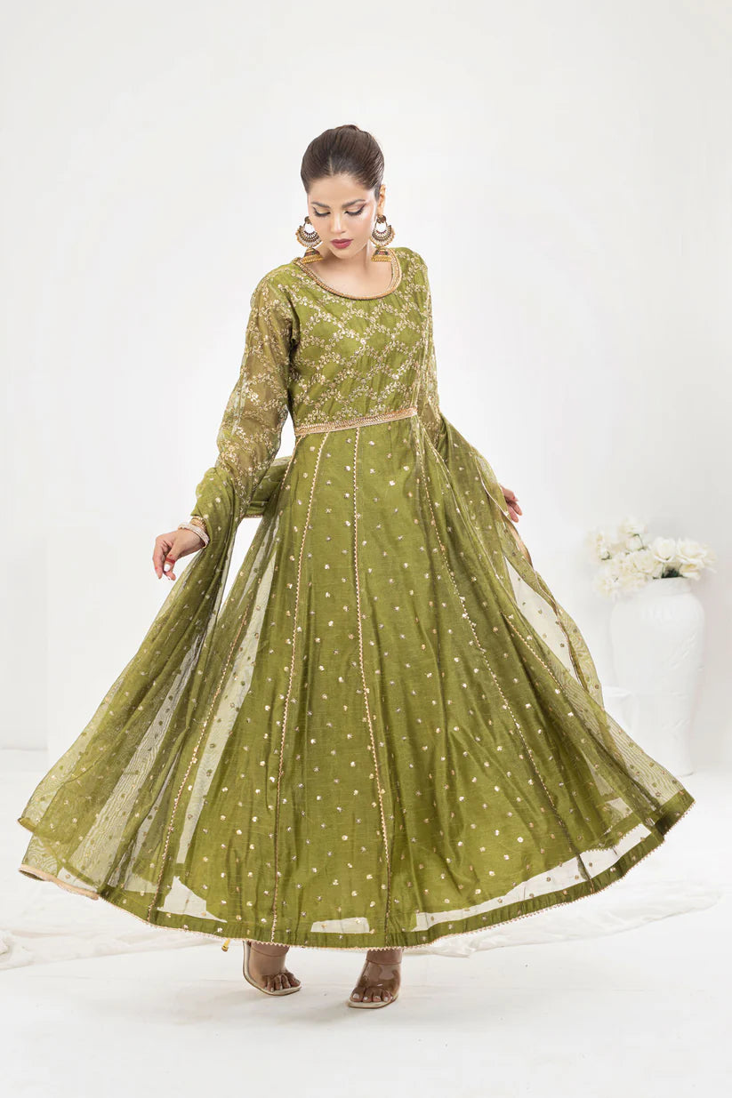 Gul-Olive -- Rafjan