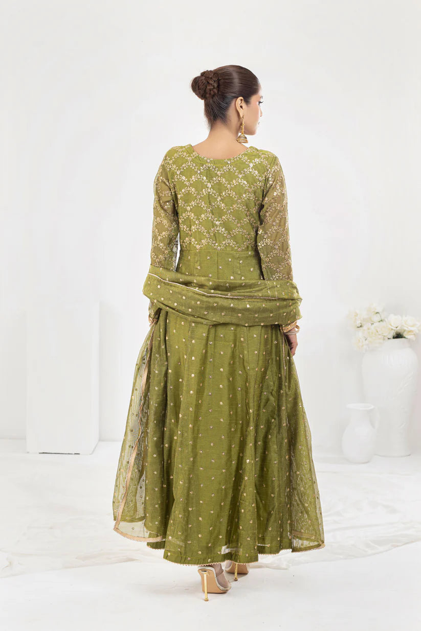 Gul-Olive -- Rafjan